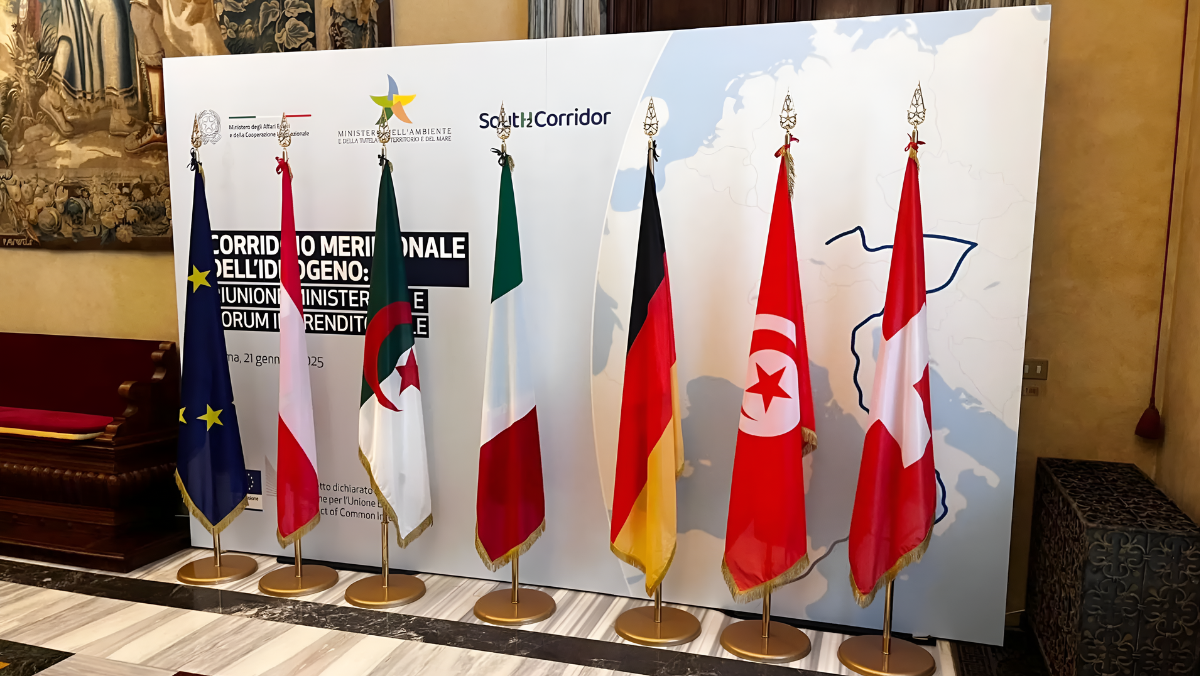 Row of European and North African flags at energy partnership event